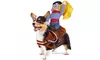 Cowboy Rider Dog Costume for Dogs Clothes Knight Style with Doll