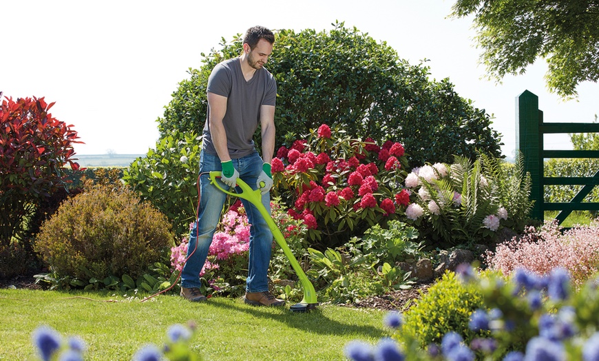 Image 6: Electric Weed Sweeper