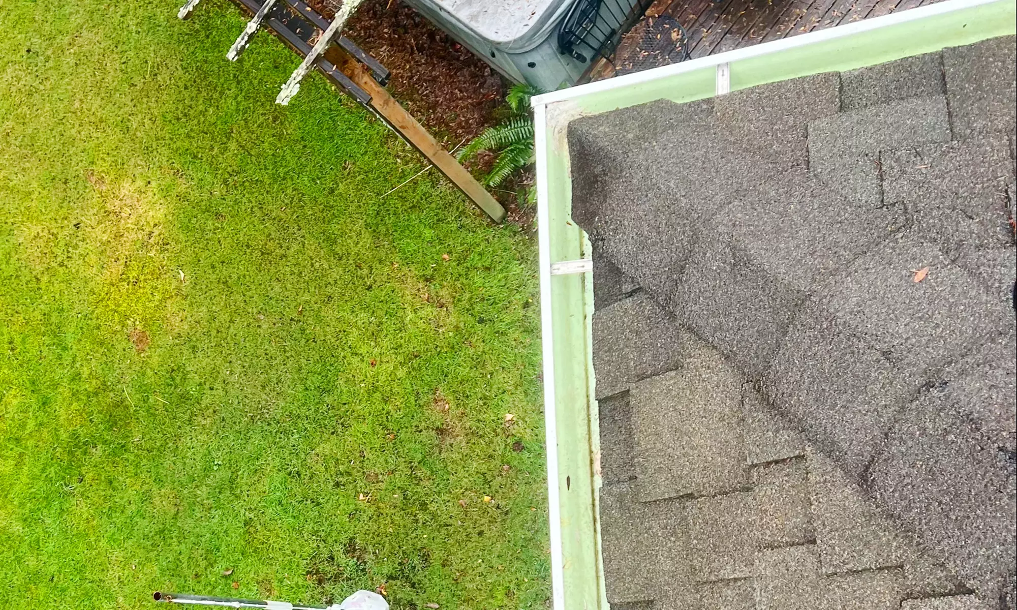 Roof Moss or Roof Blow Off, Gutter Cleaning/Organic Moss Treatment