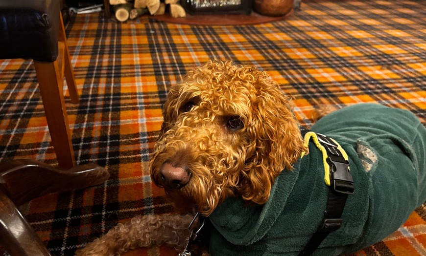 Image 9: Swinscoe: 2-Night Stay with Breakfast and Optional Dinner