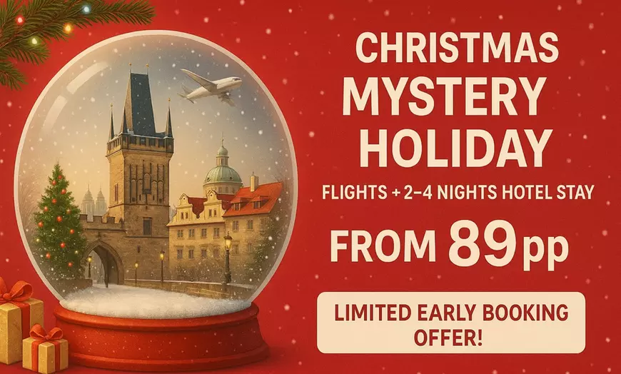 Christmas Deal Day 3 🎄 A complimentary mystery bag awaits  Christmas Holiday Mystery deal display picture 1