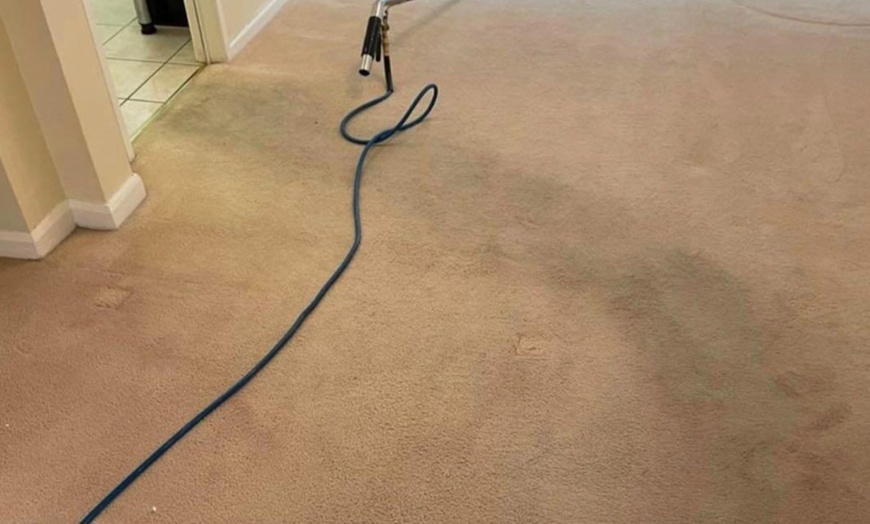 Image 5: Discover Expert Care: Carpet Cleaning for 1, 2 or 3 Rooms and Landing