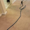 Image 5: Discover Expert Care: Carpet Cleaning for 1, 2 or 3 Rooms and Landing
