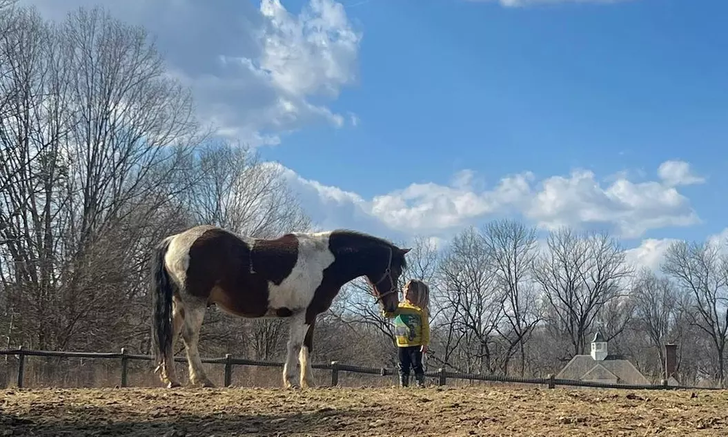Up to 20% Off on Horse Back Riding - Training at Plainbrooke Farm - Second Medium