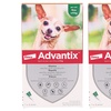 Image 16: Pipette antiparassitarie per cani Advantix