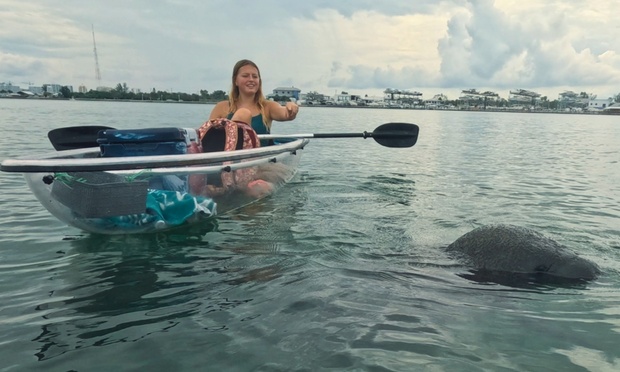 What to expect media