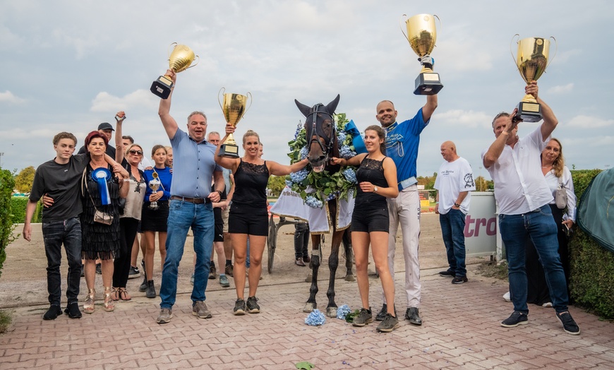 Image 4: Traber-Derby: 1 Flanier- oder VIP-Ticket vom 09.08.-24.08.2025