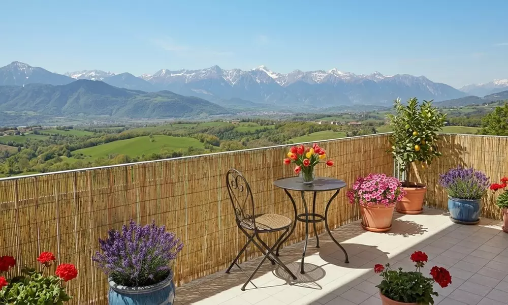 Arella in bamboo naturale frangivista