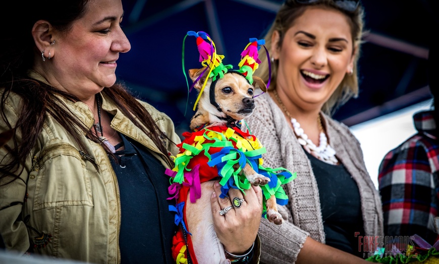 Image 4: New Jersey Taco Festival - Up to 26% Off