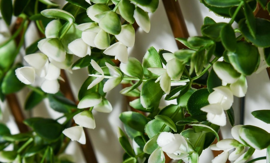 Image 4: Outsunny 2 Piece Expandable Garden Trellis