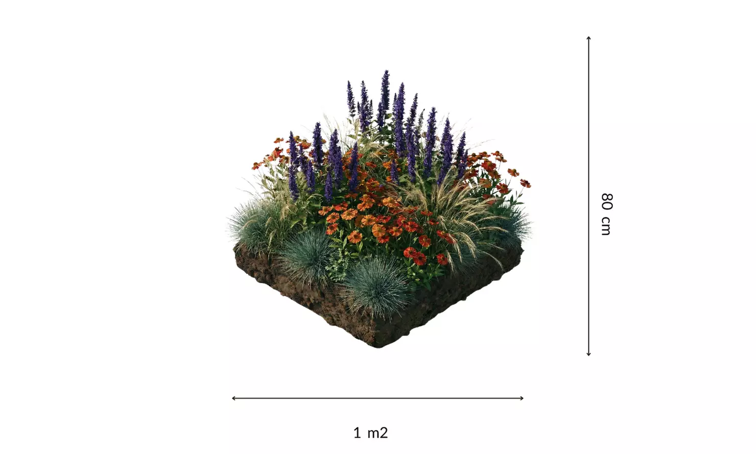 NatureNest 'Amber'-borderpakket