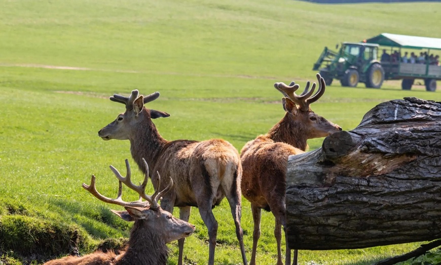 Image 6: Explore Farm Life & Enjoy Soft Play – Perfect Family Day!​