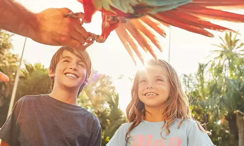 Hasta 3 entradas para tu parque temático favorito (Wonderbox Connect)