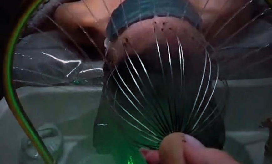 Image 13: Headspa Treatments with Scalp Care Massage and Glow Facial Options