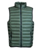 Image 8: 1 o 2 giubbini piumini unisex smanicati