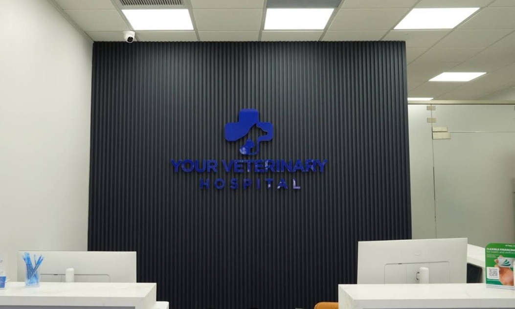 Up to 59% Off on Vet at Your Veterinary Hospital