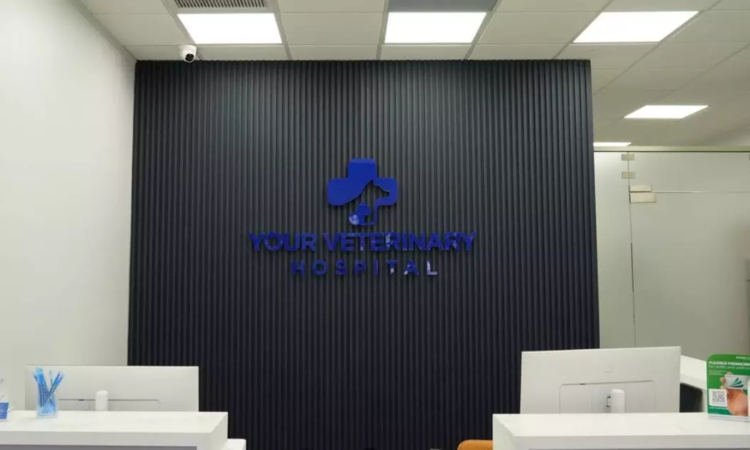 Up to 59% Off on Vet at Your Veterinary Hospital