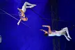 Magic of the Circus: Tickets to Circus Gerbola in Galway| Aug 11 - 17 & Aug 20 - 24 (Up to 59%Off) - Image 2