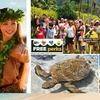 Image 1: Up to 65% Off Oahu Full-Day Island Tour - Aloha Fantasy Tours
