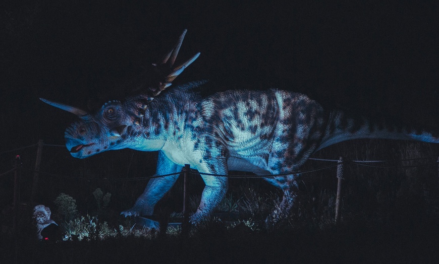 Image 4: Choice of Halloween Event for up to 4 people at Swanley Park!