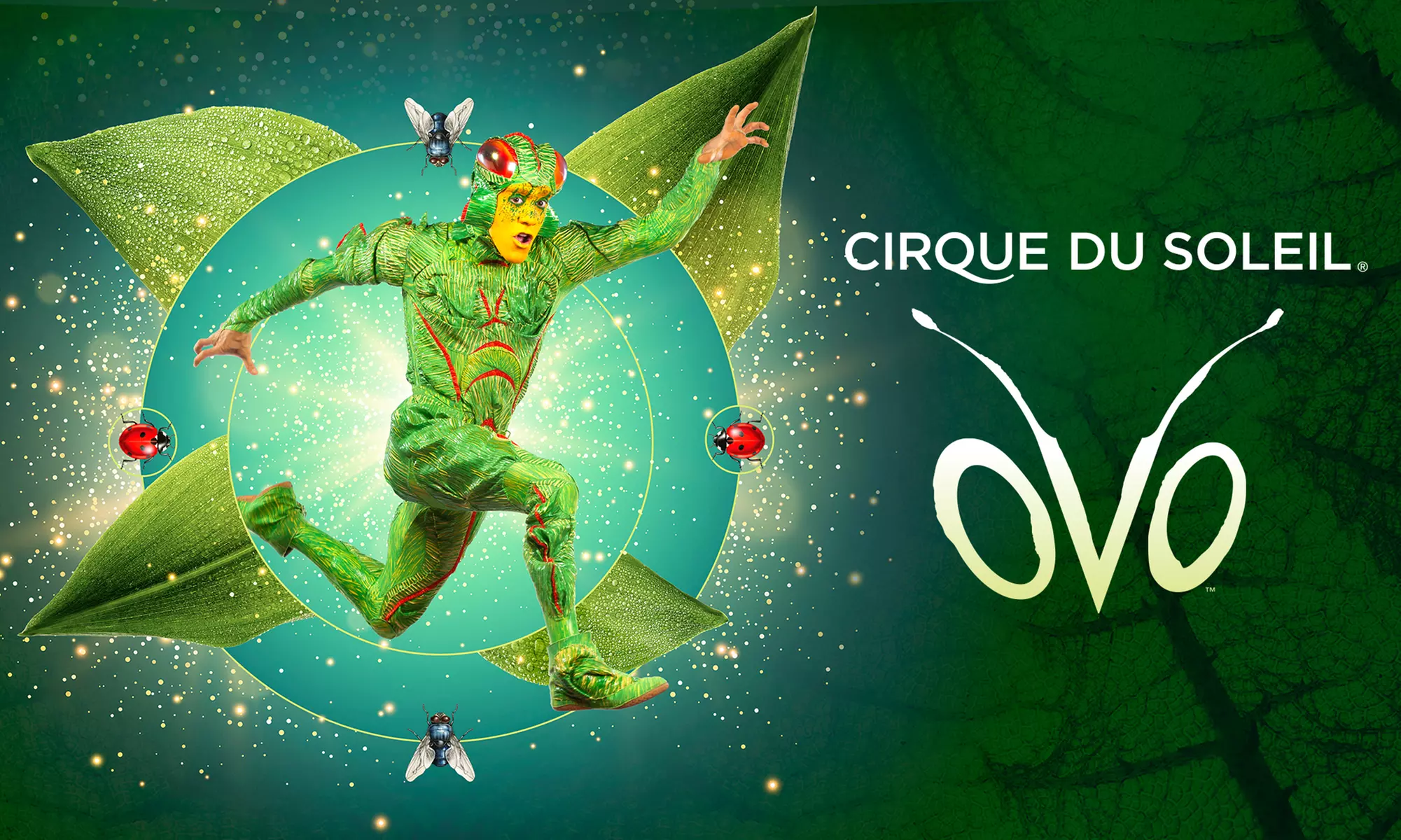 Cirque du Soleil Presents OVO on March 17th to May 1st - Primary Image