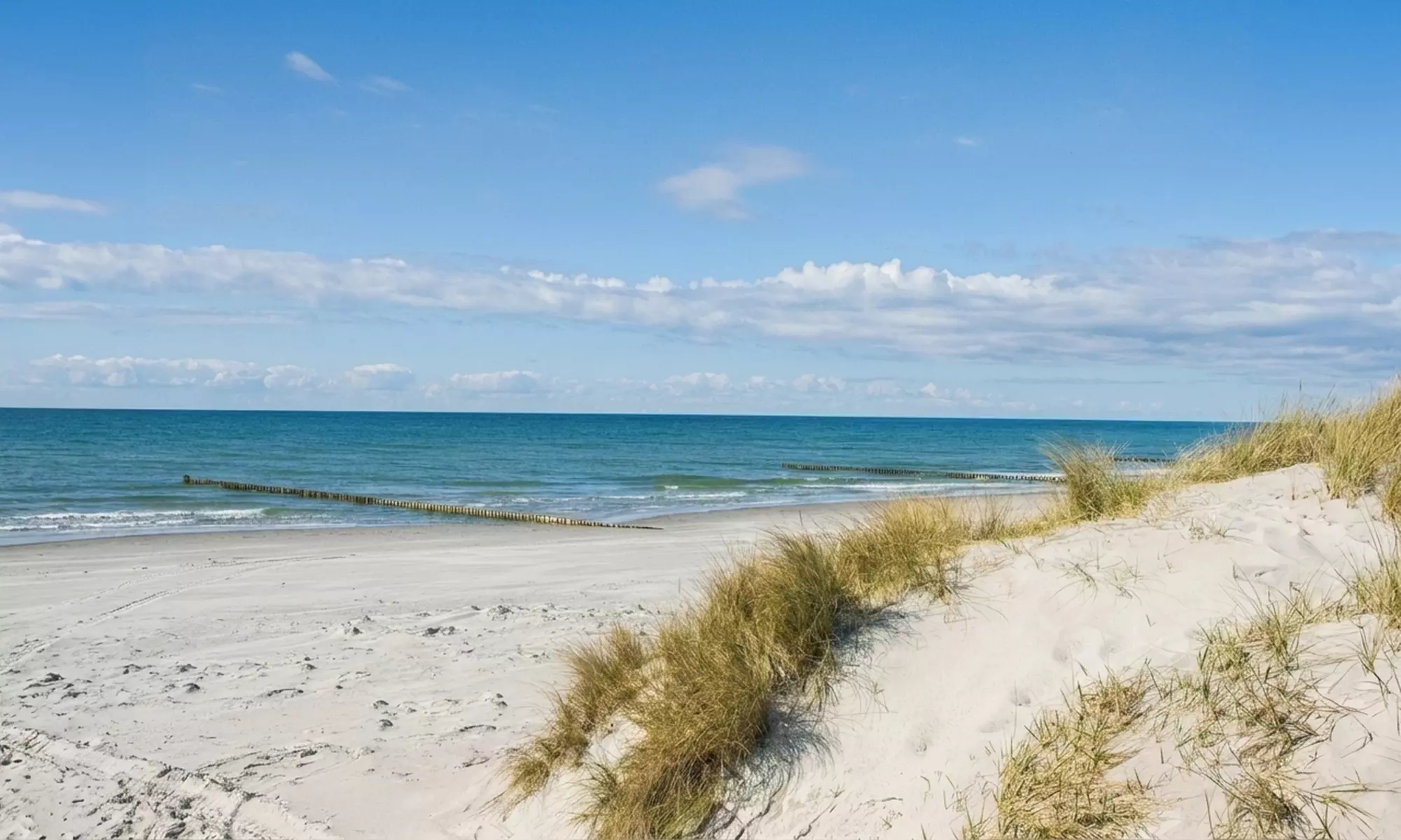 Hin- und Rückfahrt: Zingst – Stralsund od. Hiddensee für 1 Erw. / Kind