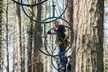 Treetop Quest Philly: Aerial Adventure and Zipline Experience with Gloves for One to Six People in Fairmount Park - Image 2