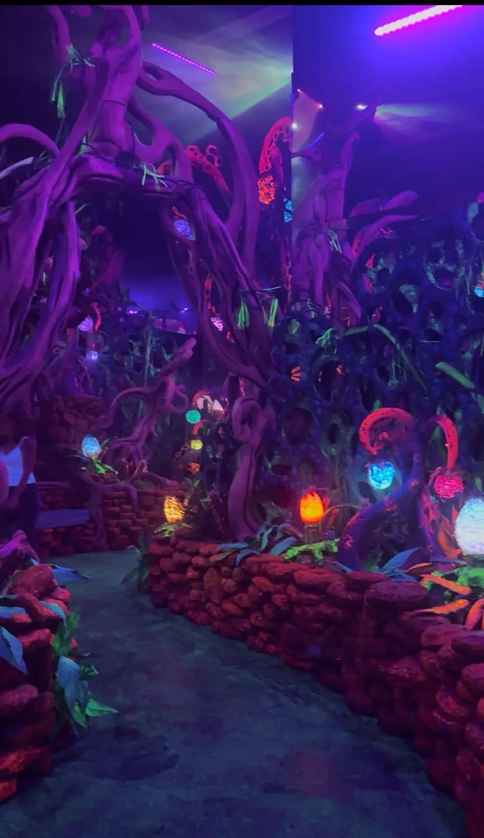 Up to 30% Off Seismique’s Immersive Art Experience in Houston