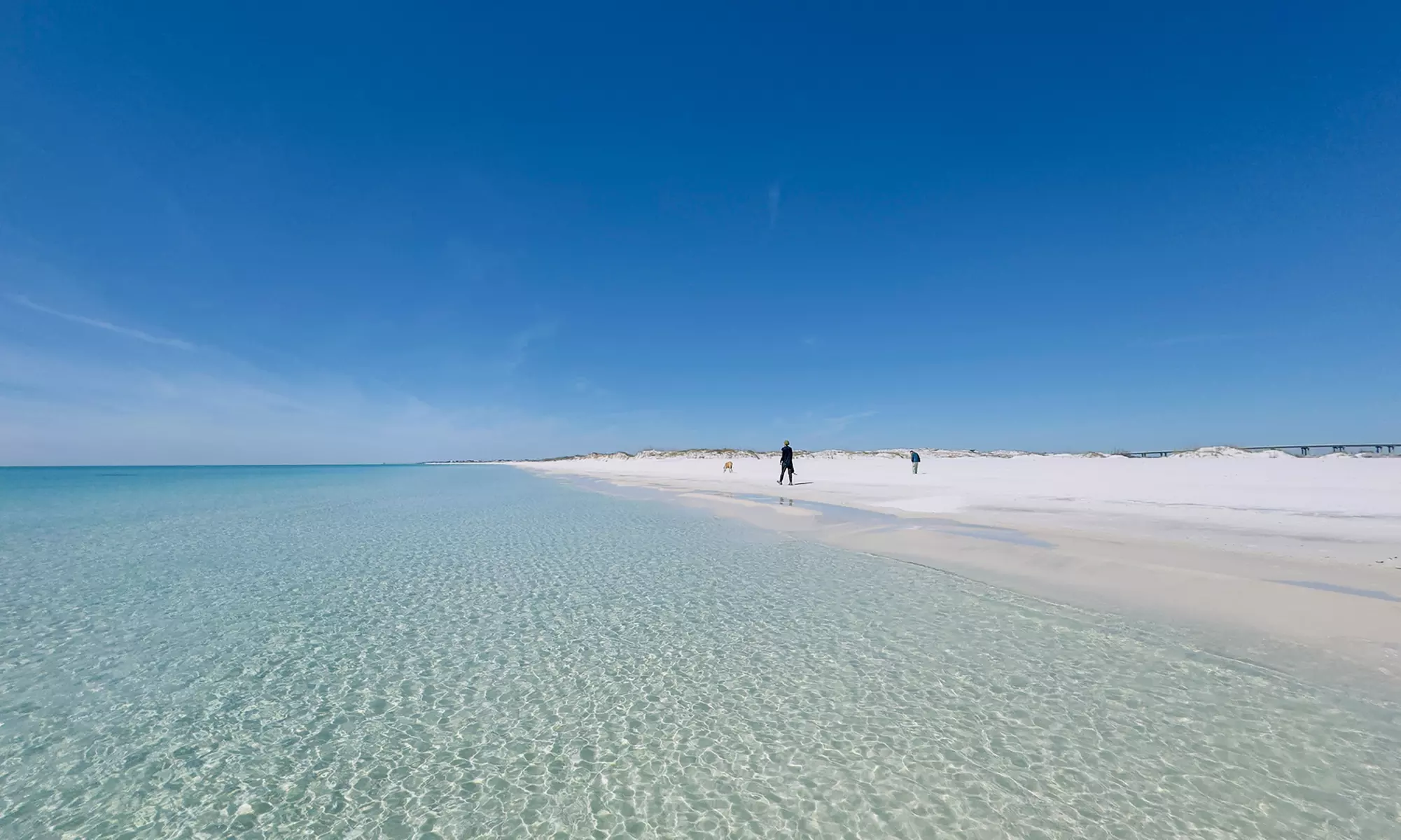 Capture Stunning Photos: Two or Four-Hour Emerald Coast Photo Safari