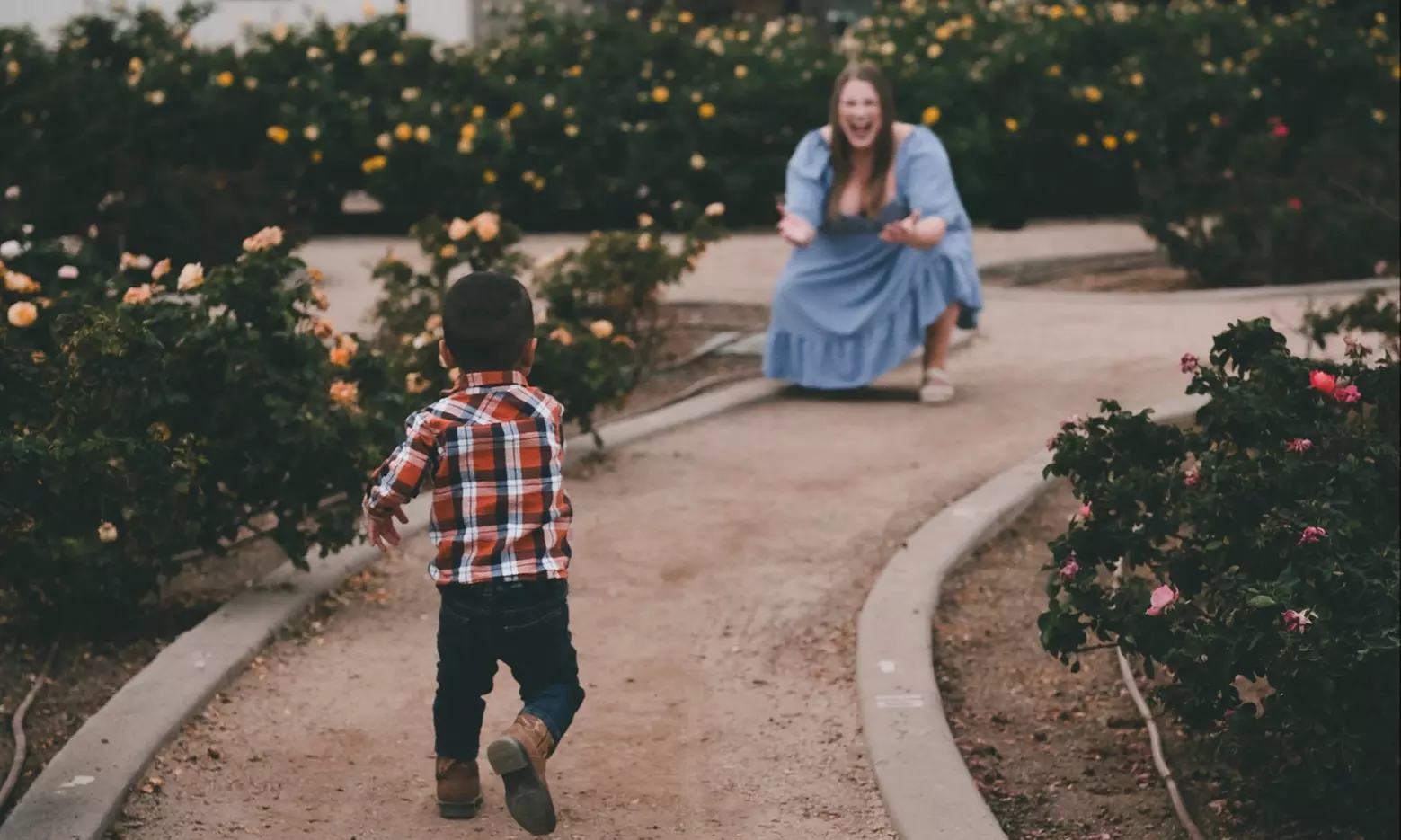 Outdoor Photography Sessions — 60 or 90 Minutes with Photo Package