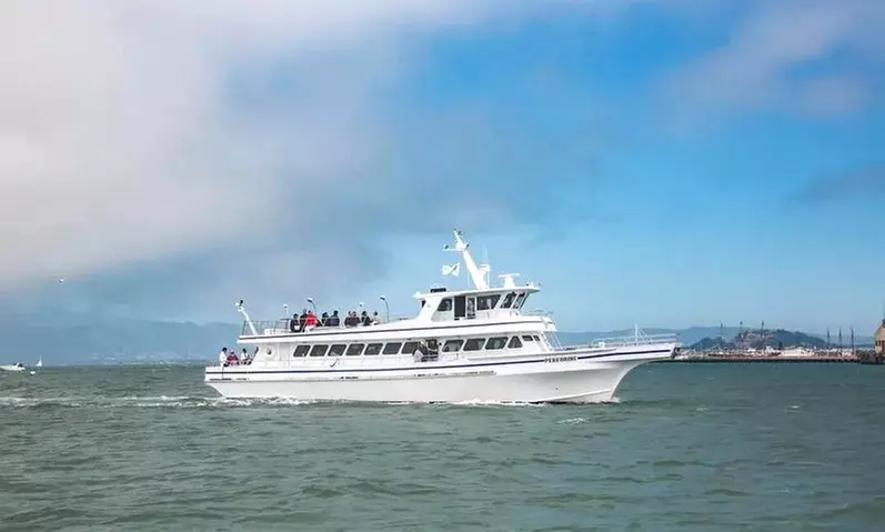 Luxury San Diego Whale Watching Tour