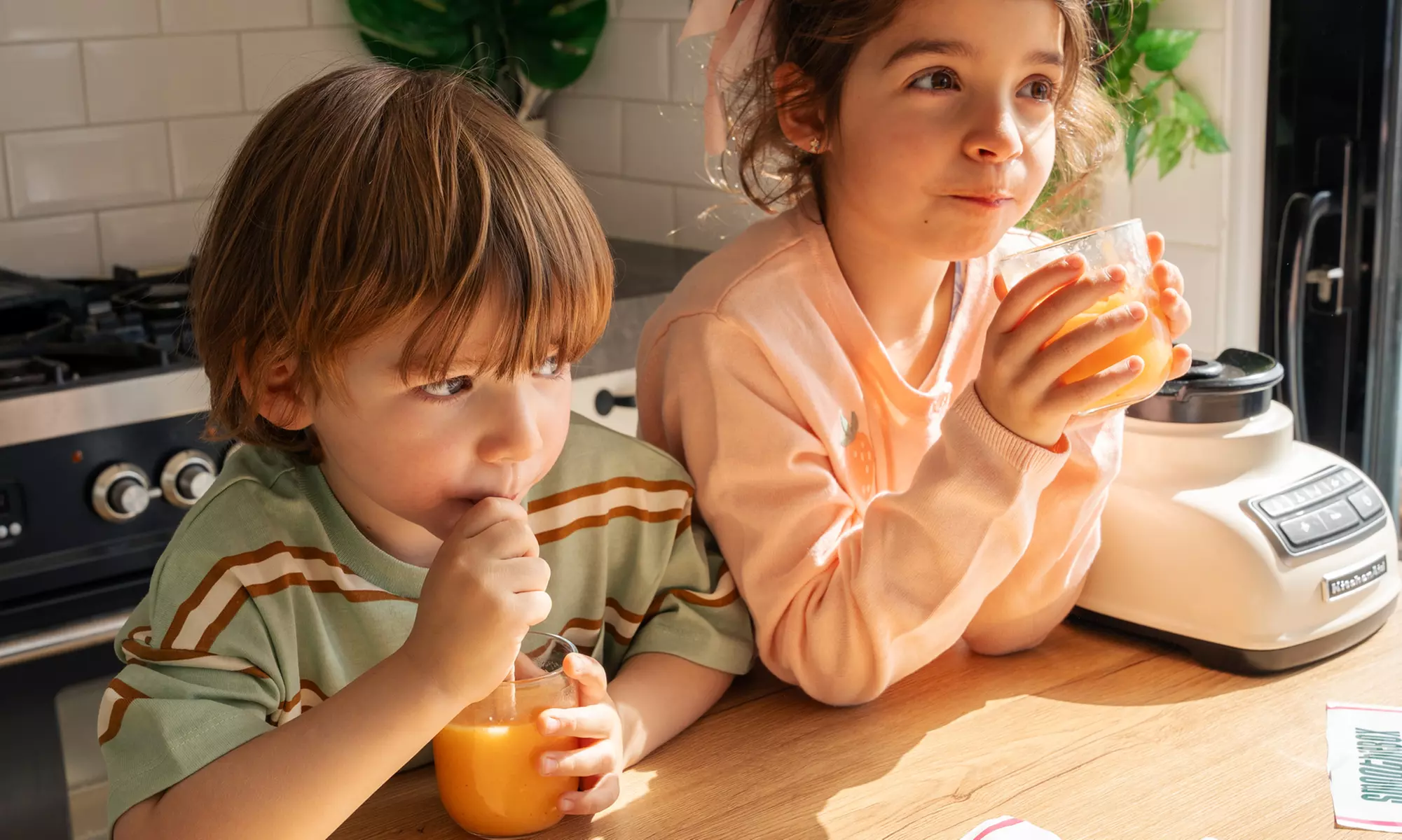 SmoothieBox: Grab Fill-the-Freezer Kits, Berry Best, & Daily Vitality Bundles! Organic, Healthy Pre-Portioned Smoothies