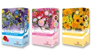 Scatter Pack of Summer Flowers