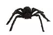 Giant Scary Spider Halloween  Prop Yard Decor (4 or 5ft) - Second Medium