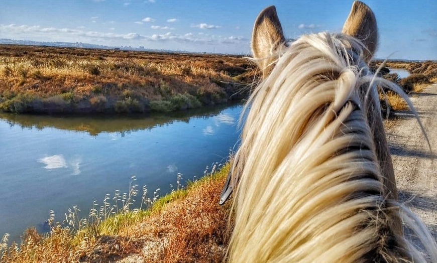 Image 3: Ruta a caballo para 1, 2 o 4 personas en Rancho Los Girasoles