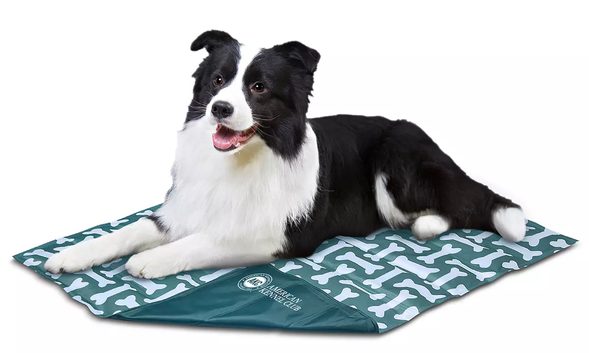 AKC Reversible Cooling Mat for Dogs and Cats - Primary Image