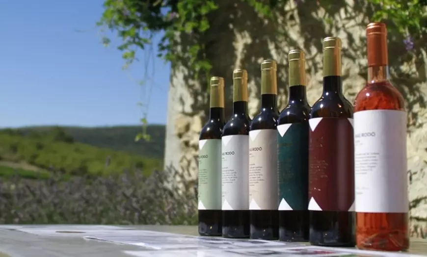 Image 2: Paseo por viñedo, visita a bodegas y cata de 3 vinos para 1 o 2 
