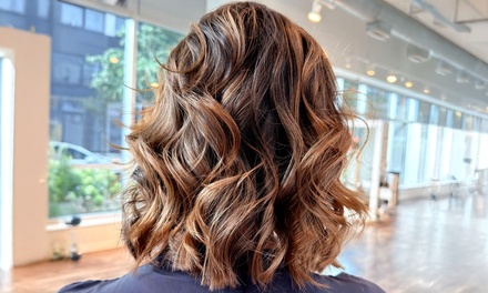 Partial Highlights + Blowout - House of Niqe