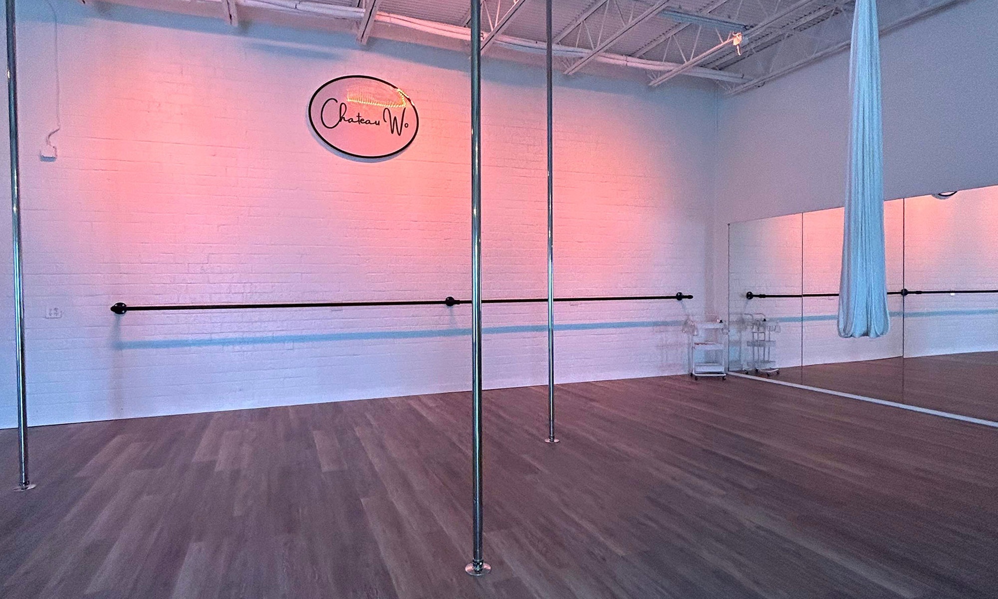 Unforgettable Pole Dance Party Experience! 