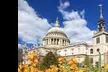 ✈ 13-Day Guided St Paul to St Peter w/ Air. Price is per Person, Based on 2 Guests per Room. Buy One Voucher per Person. - Second Medium
