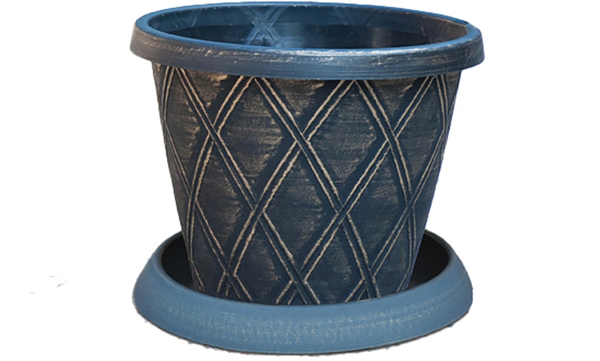 Image 5: Clematis 'Winter Beauty' - 1 or 2 Plants with Optional Tower Pots