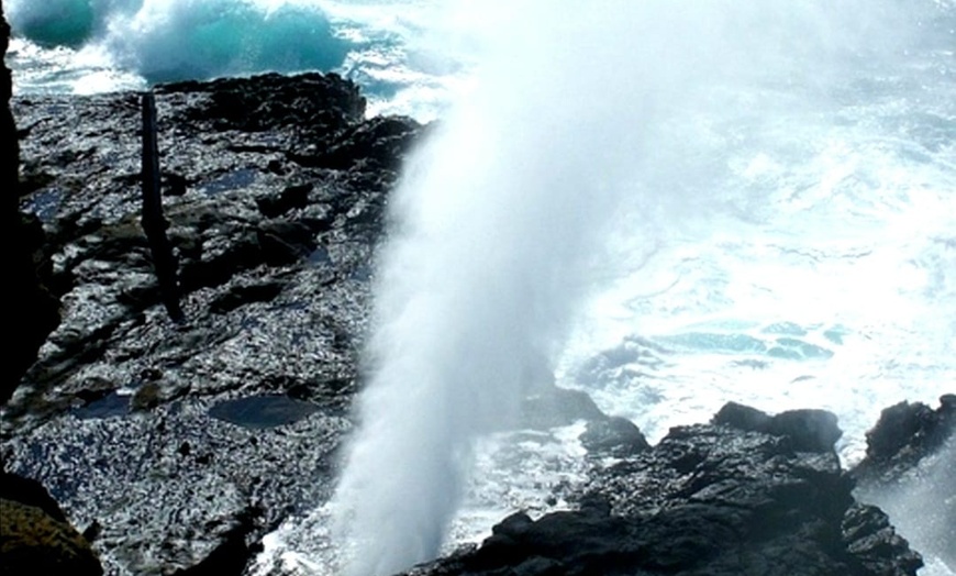 Image 14: Up to 55% Off Oahu Full-Day Island Tour - Aloha Fantasy Tours