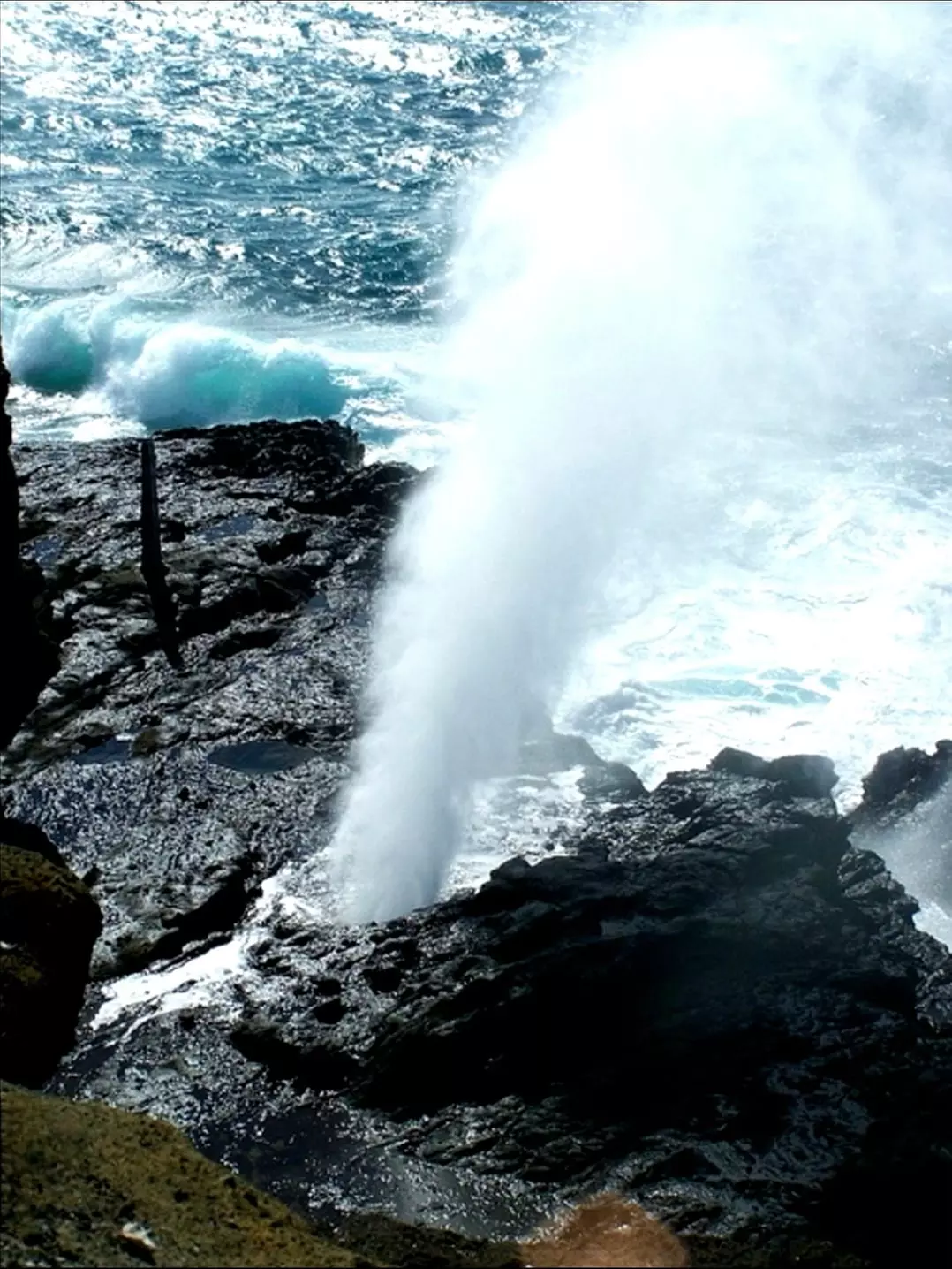 Up to 55% Off Oahu Full-Day Island Tour - Aloha Fantasy Tours