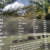 Image 3: Up to 21% Off Historic New Orleans Plantation Tours
