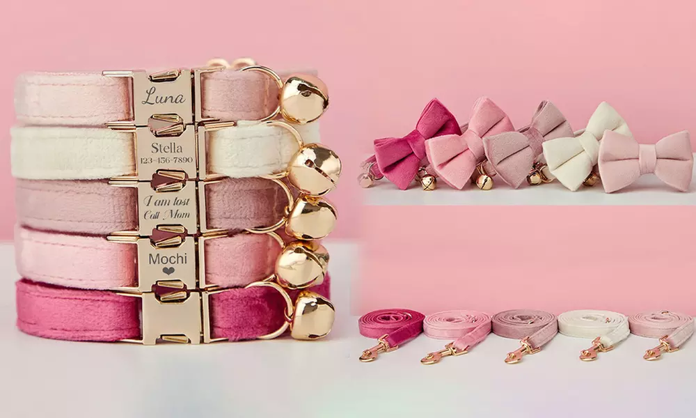 Grab paw-some Custom Pet Collars for your furry buddies