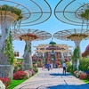 Image 12: Dubai Miracle Garden + Butterfly Garden Combo Tickets (For 1, 2, or 4)