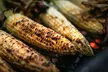 Explore the BEE KIND Corn Maze at Twins BBQ Co. for Family Fun and Challenging Navigation Adventures - Second Medium