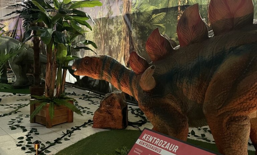 Image 17: Całodniowe bilety wstępu dla 1 osoby lub rodziny do parków DinoWorld