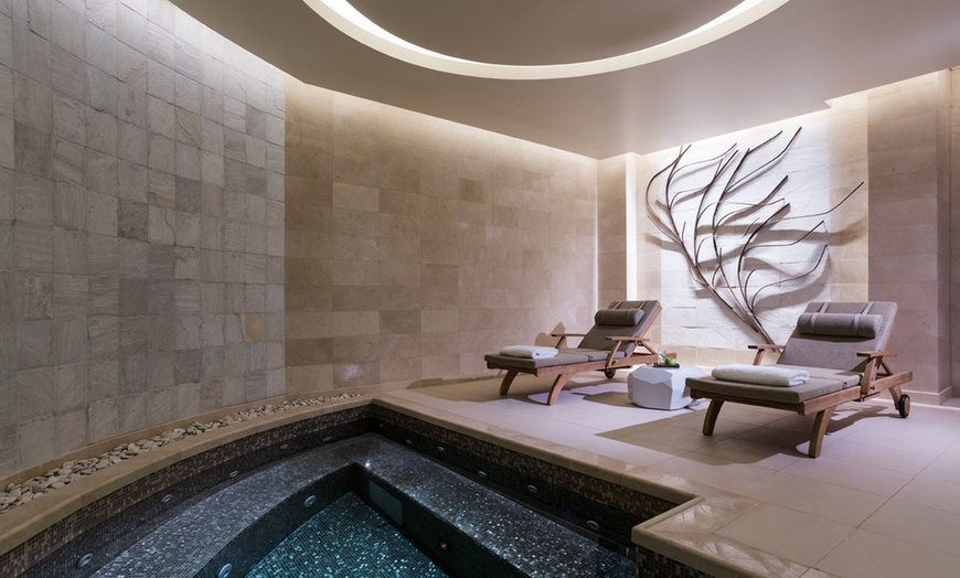 Image 3: Spa Treatment and Pool Use