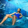 Image 2: Entry To AquaVenture-Dubai